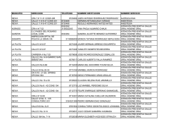 profesional independiente