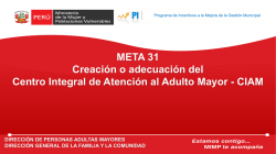Creaci&oacute;n o adecuaci&oacute;n de CIAM