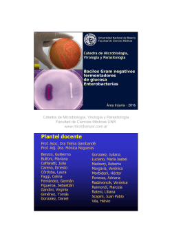 salmonella - C&aacute;tedra de Microbiolog&iacute;a, Virolog&iacute;a y Parasitolog&iacute;a