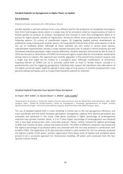 19 Doubled Haploid Production from Spanish Onion