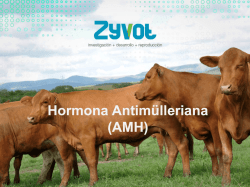 Presentaci&oacute;n de PowerPoint