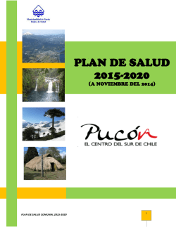 plan de salud 2015-2020 - Municipalidad de Puc&oacute;n