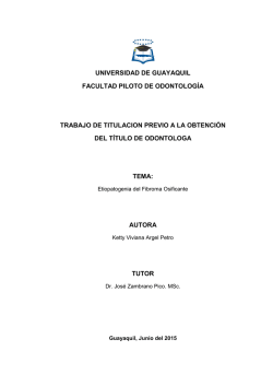 universidad de guayaquil facultad piloto de