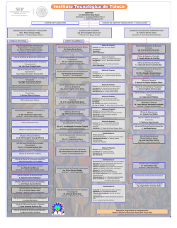 Organigrama - Instituto Tecnol&oacute;gico de Toluca
