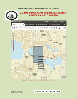 Descargar manual completo ()