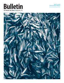 St Vincent de Paul g Bayonne, NJ