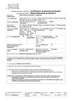 Informe Final Auditoria Externa - Ministerio de Minas y Energ&iacute;a