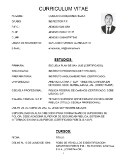 curriculum vitae