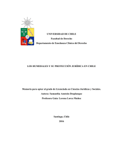 UNIVERSIDAD DE CHILE Facultad de Derecho Departamento de