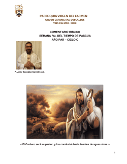 parroquia virgen del carmen - Padres Carmelitas Vi&ntilde;a del Mar