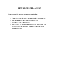 Licencia de Obra Menor