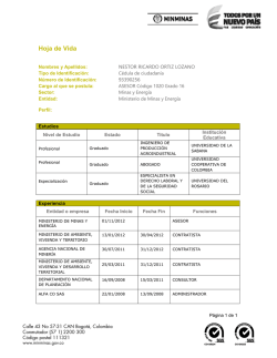 N&eacute;stor Ricardo Ortiz Lozano - Ministerio de Minas y Energ&iacute;a