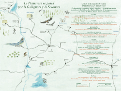 La Primavera se pasea por la Galliguera y la Sotonera