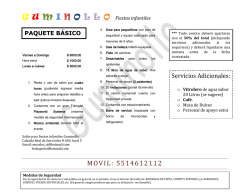 B&aacute;sico - Guminollo