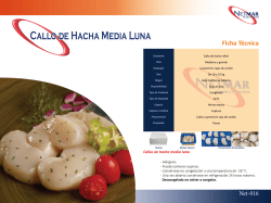Callo de Hacha Media Luna