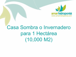 cronograma - Amar Hidroponia