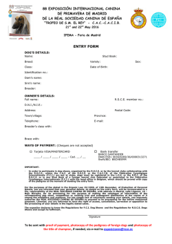 - Real Sociedad Canina de Espa&ntilde;a