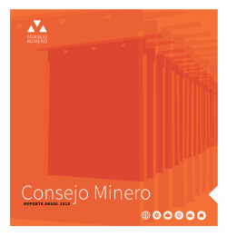 8 - Consejo Minero