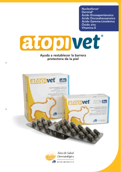 ficha t&eacute;cnica del producto