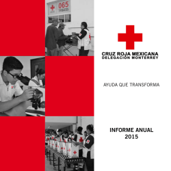 informe anual 2015