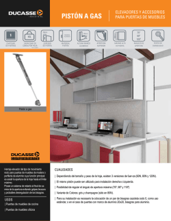 Pist&oacute;n a gas - Ducasse Industrial.