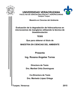UNIVERSIDAD VERACRUZANA