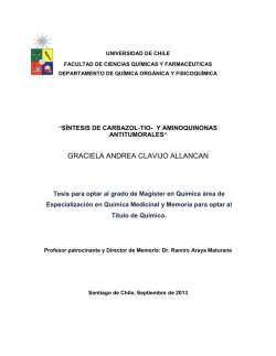 Abrir/Descargar - Repositorio Acad&eacute;mico