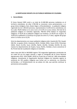 Mortalidad Infantil Ind&iacute;gena &ndash; Informe DDHH