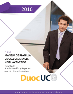 manejo de planilla de c&aacute;lculos excel nivel avanzado