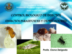 Diapositiva 1 - Universidad Central de Venezuela