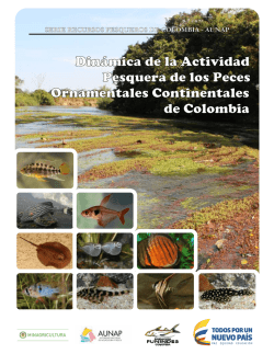 din&aacute;mica de la actividad pesquera de peces ornamentales