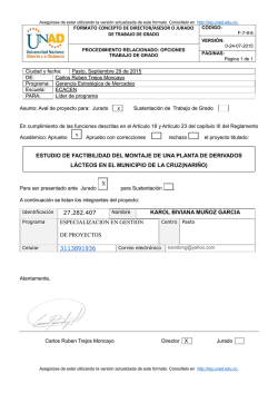 Concepto Karol Mu&ntilde;oz