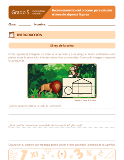 Grado 5 - Contenidos para aprender