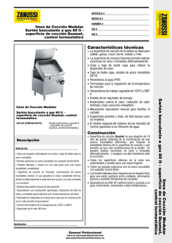 Sart&eacute;n basculante a gas 80 lt - superficie de cocci&oacute;n