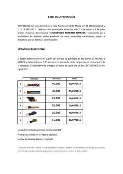 BASES DE LA PROMOCI&Oacute;N WOTTOLINE SA con