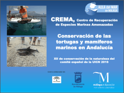 Presentaci&oacute;n de PowerPoint