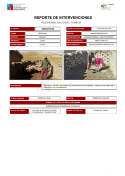 REPORTE DE INTERVENCIONES