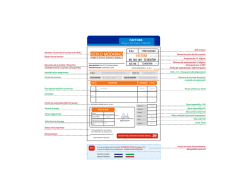 Formato Factura 14% IVA