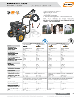 hidrolavadoras - Continente Ferretero Mayoreo