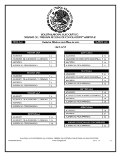 20 - Tribunal Federal de Conciliaci&oacute;n y Arbitraje