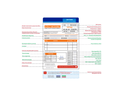 Formato Factura Manab&iacute; y Esmeraldas