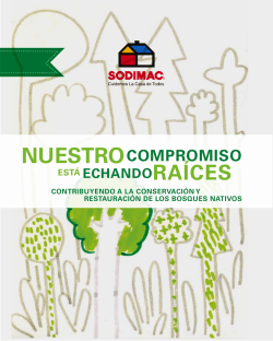 ra&iacute;ces - Eco Solutions