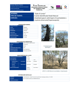 NOMBRE: &ldquo;Ejido El Lim&oacute;n&rdquo; TIPO DE FUENTE: Fuente identificada