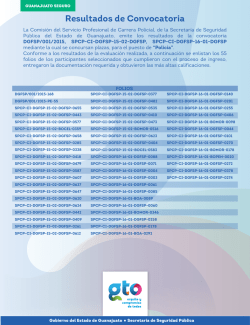 dgfsp v2 - Secretar&iacute;a de Seguridad P&uacute;blica