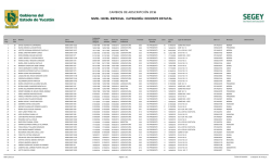 nivel especial categor&iacute;a: docente estatal