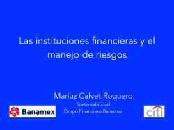 Mtra. Ma de la Luz Calvet Roquero