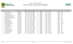 nivel especial categor&iacute;a: directivo transferido
