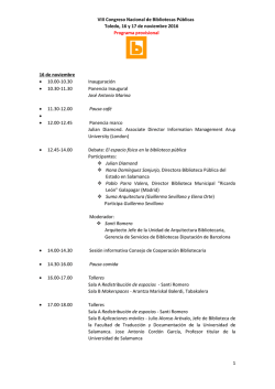 Programa provisional
