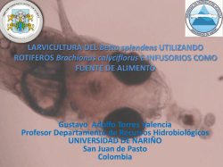 31 &ndash; Larvicultura Betta splendens &ndash; Gustavo Torres