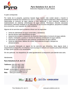 Pyro Solutions SA de CV - Pyro Solutions